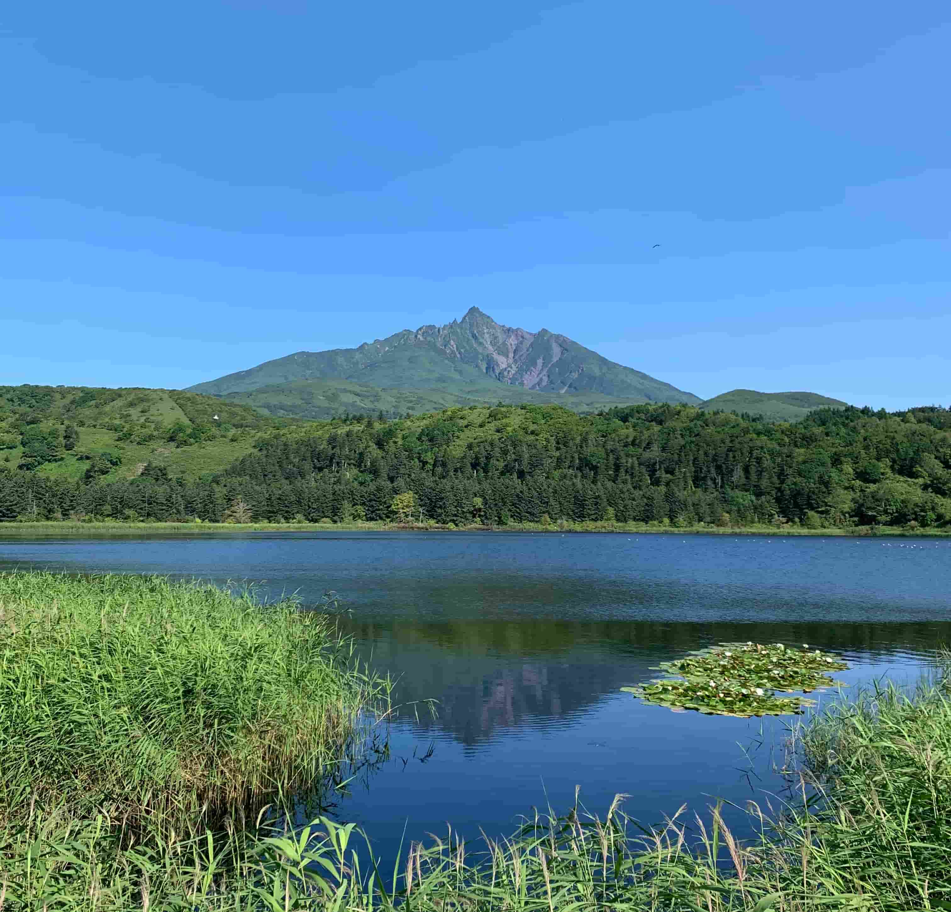 利尻富士町 / オタトマリ沼 / 巨大な沼と利尻富士