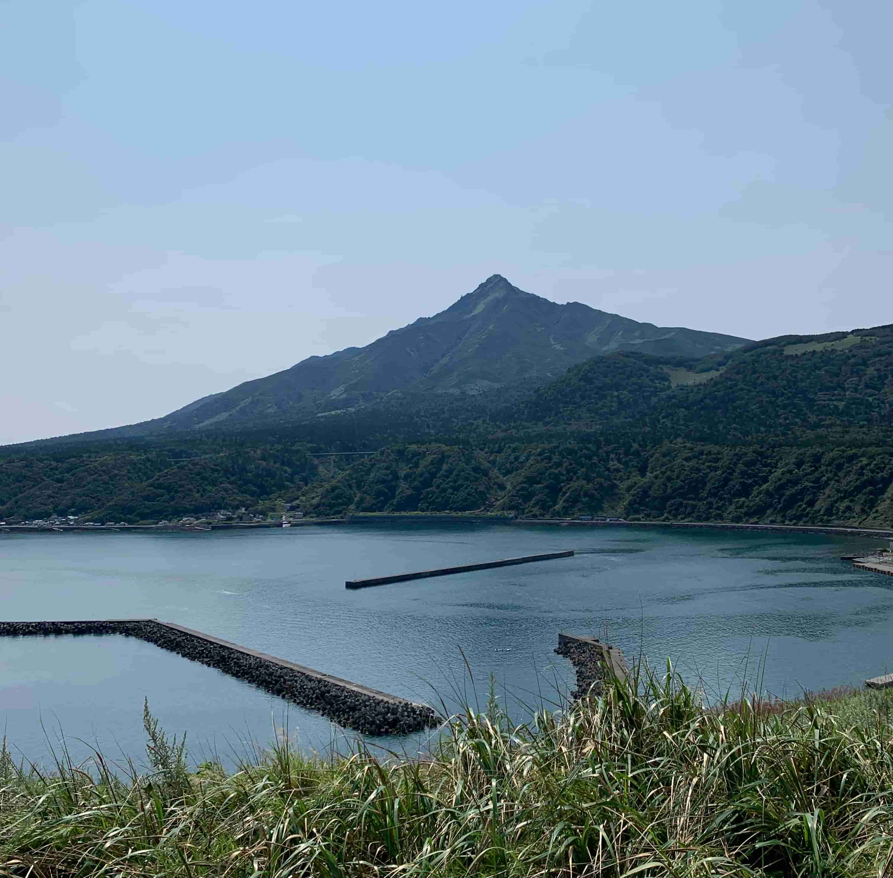 岬から見る鴛泊港