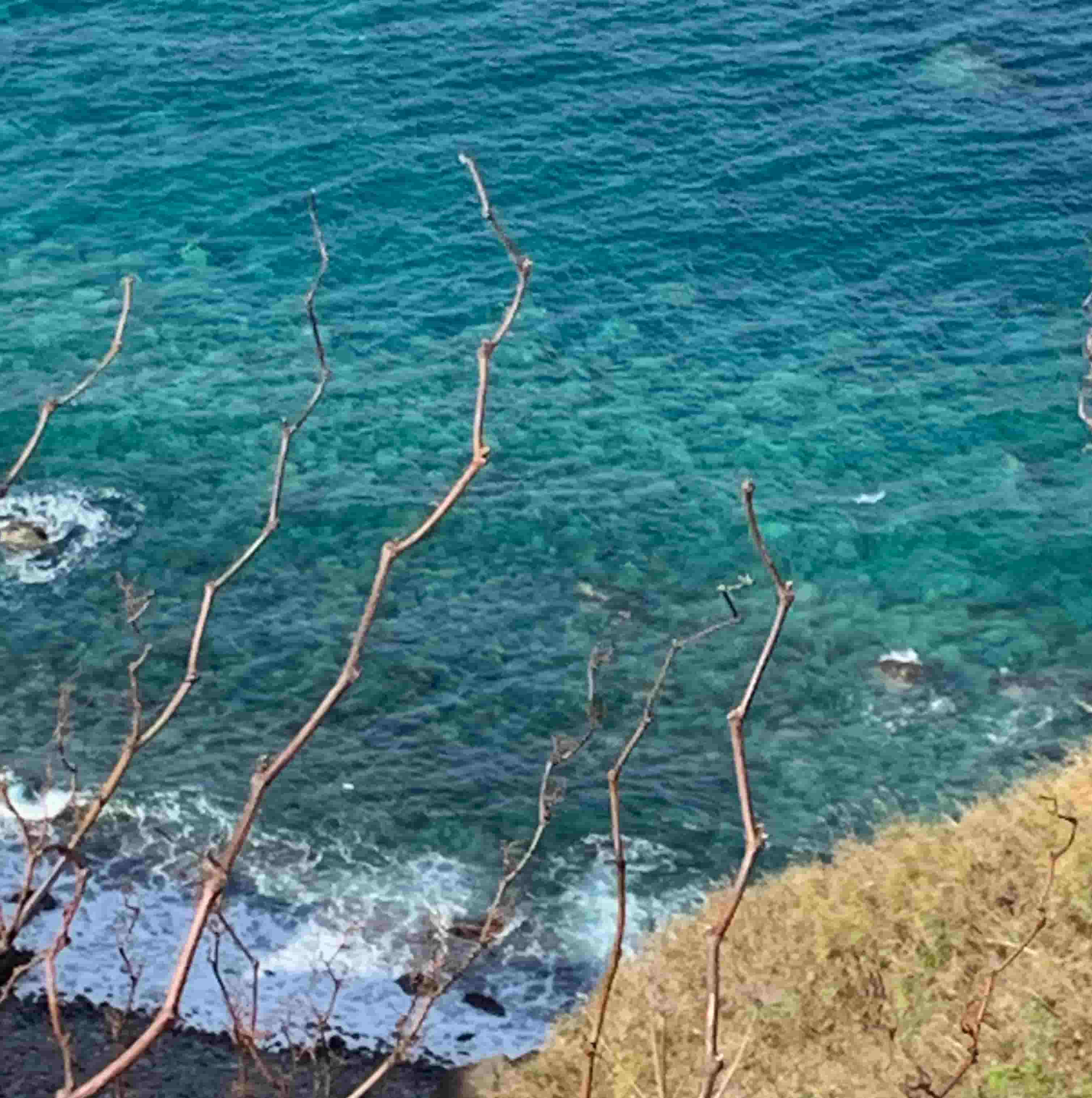 積丹町 / 神威岬 / 透き通った海水