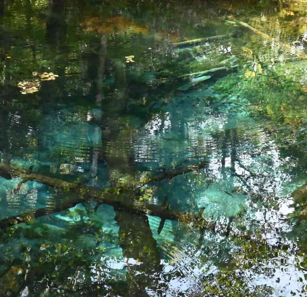 清里町 / 神の子池 / 透き通った池の水