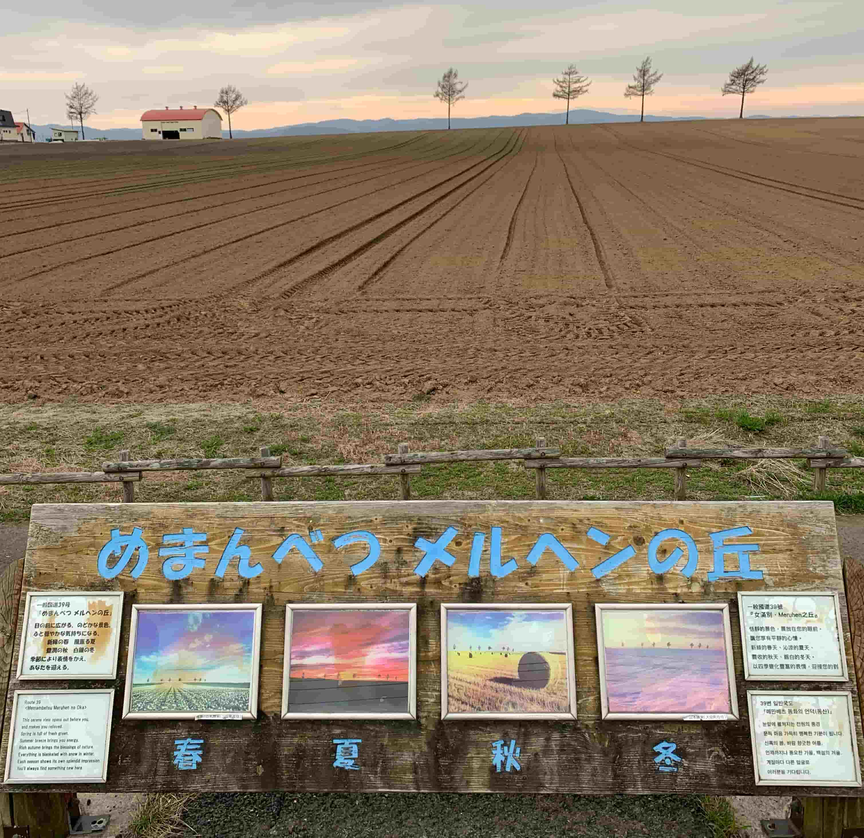 大空町 / メルヘンの丘 / カラマツと看板